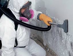 Best Basement Mold Removal  in Coopersburg, PA